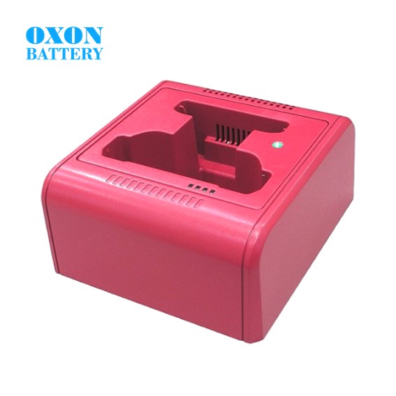 Dual Bay Charger